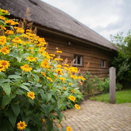 Aan De Aelder Esch Bed and Breakfast Aalden Zewnętrze zdjęcie